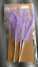 Load image into Gallery viewer, Cake Decorations- wired feathers 🪶