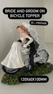 Cake topper Bride and Groom( Bicycle)