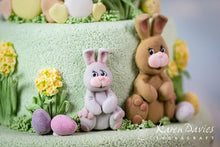 Load image into Gallery viewer, Mould -Karen Davies - Easter Bunny
